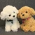 China Factory Wholesale Stuffed Animals Dog Poodle Plush Toy