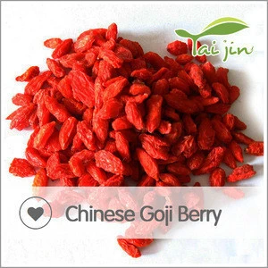 China New Fresh Goji Berry Plants