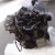 Import China supplier high performance ISF2.8 diesel motorcycle engine assembly for Light truck from China