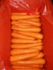 Chinese Carrot