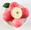 Chinese fuji apple