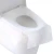 Import Clean Portable Disposable Toilet Seat Cover from China