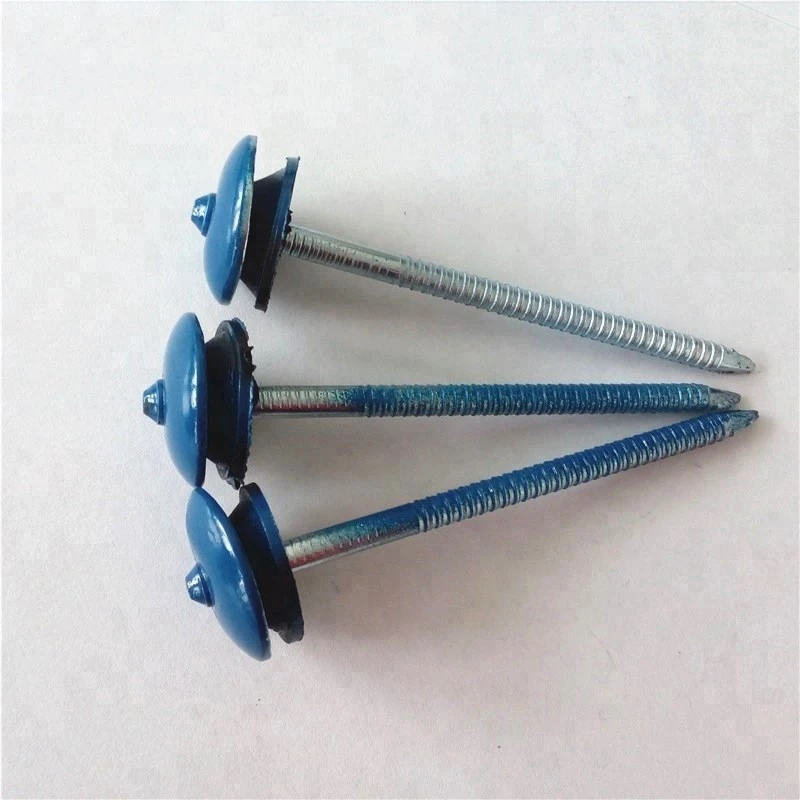 color painter umbrella roofing nails with cheapest price