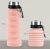 Import Colorful Eco-friendly Leak Proof Foldable Silicone Sport Water Bottle from China