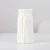 Import Colourful plastic vase for flower wholesale Plant Flower Pot for home hotel from China