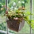 Import Creative Small Acrylic Window Planter Boxes Plant Pot Flower Holder Tray Shelf Suction Cup Outdoor Indoor Decorative Gift from China