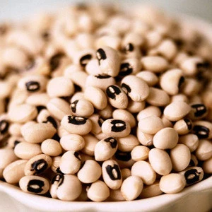 crop wholesale black eye bean for sale/Wholesale black eye cowpea