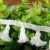 Import Curtain Accessories Beaded Decorative Fringe Lace from China