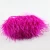 Import customized China factory dyed color ostrich feather trim from China