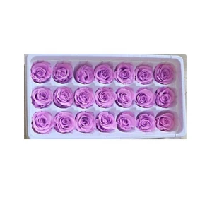 Customized High Quality Long Duration Time 21 Pcs  Red Forever Preserved Roses bud