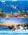 Import Customized Top Safety Material DIY Funny 1000 Pieces Children Paper Jigsaw Puzzle from China
