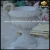 Import decoration stone flower pot from China