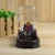 Import Dog water bottle, dog animal feeders, automatic pet feeder from China