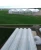 Import drip irrigation boom and rolling bench and hydroponics grow table installed agriculture greenhouse from China