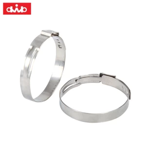 DWB 37.8-41.0mm 304 Stainless Steel Pipe Hose Clamp for Pipe Fastener