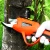 Import EAST 3.6v fruit electric pruning shear scissors for garden from China