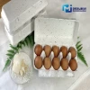Egg carton Eco-friendly Non-plastic Biodegradable Seaweed extract 10 holes Upcycling Little dust Buffer effect Made in Korea