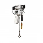 electric hoist