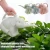 Import Elephant Shape Watering Can Pot Home Garden Flowers Plants Watering Tool Succulents Potted Gardening Water Bottle from China