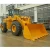 Import Engineering Construction Machinery 5T Bucket Front Loader from China
