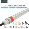 ETL Certification IP67 Rating 9W 20W 24W 28W Tube Light for Layer Cage