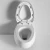 Import European Standard Ceramic Two Piece Wall Hung WC Toilet Bowl from China