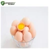 Factory manufacturing Egg Yolk Powder