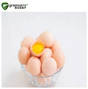 Factory manufacturing Egg Yolk Powder