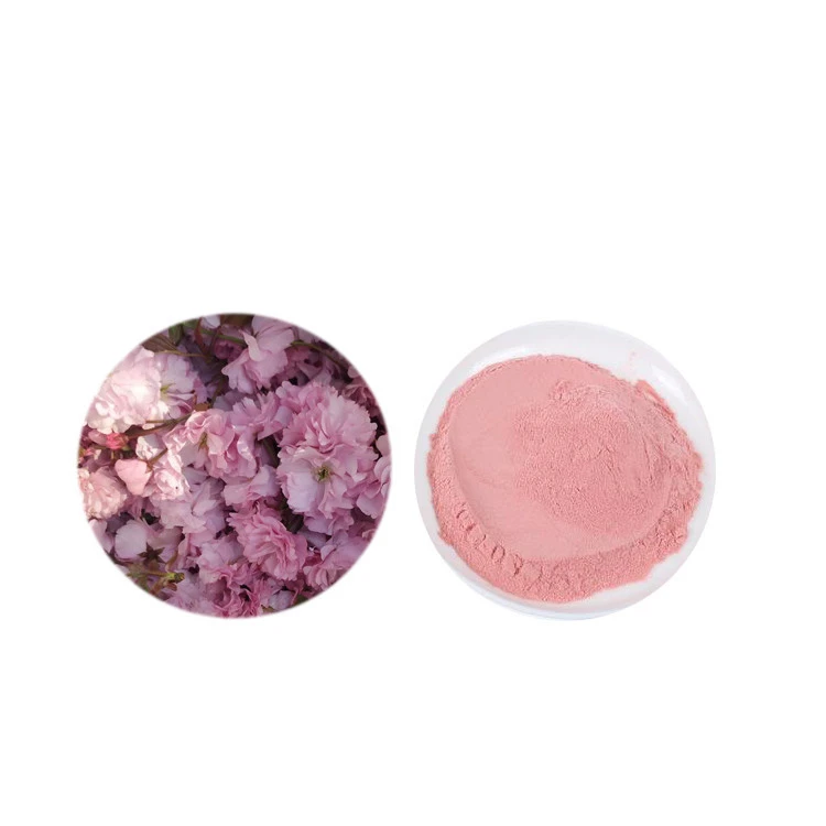 Factory supply 100% pure low price sakura powder/cherry blossom extract powder