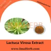Factory Supply lactuca virosa plant extract