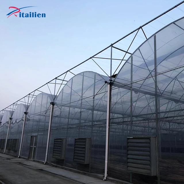 Factory Wholesale Customizable Size And Structure Greenhouse Hoops Pe Tunnels Plastic Film Greenhouses