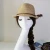Import Fashion Beach Sunscreen Straw Hat Summer Ladies Wide-brimmed Natural Sun Hat Fedora Cap Unisex Adults Picture Image 10 Pieces from China