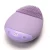 Import Fashional Face Wash and Massager Waterproof Sonic Facial Silicone cleaning brush beauty equipment from China