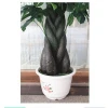 Favorable price artificial money tree , money tree bonsai,simulation potted plant
