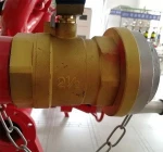 fire fighting foam hydrant with two 65mm hose outlet, 80mm to 150mm pillar, nominal working pressure 1.6MPa