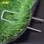 Import Flat Point Garden Staples/U Shaped Turf Nails/Turf Pins from China
