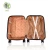 Import Free Sample Trolley Rolling Set Hand Cabin Travel Suitcase Luggage Bag/Bag Luggage from China
