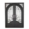 French Modern Entry Security Screen Door Wrought Iron Double Glass Elegant Exterior Entrance Door with Graphic Design Solution