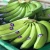 Import Fresh Bananas from Ecuador