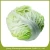 Import Fresh cabbage international market price from China