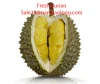 FRESH DURIAN WITH HIGH QUALITY