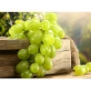 Fresh high quality wholesale grapes