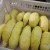 Import Fresh Monthong (Golden Pillow) Durian Peeled from Thailand