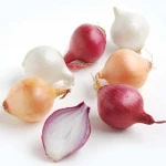 Fresh Onion In Bulk Cheap Red/Yellow Onions For Sale