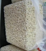 Fresh Pine Nuts, Dried Pine Nuts sale