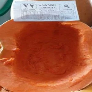 fresh pumpkin high quality (A)