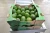 Import Fresh quality Mexican hass avocado from Mexico