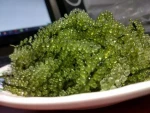 Fresh Sea Grapes -  bountiful benefits - Viet SeaFarm