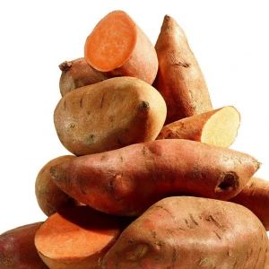 Fresh Sweet Potato Price per Ton