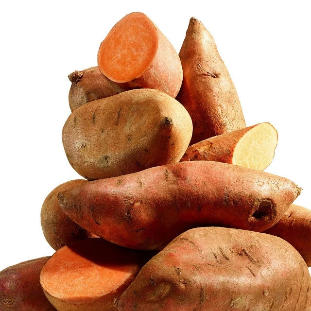 Fresh Sweet Potatoes: Wholesale Exporter & Supplier - Buy in Bulk